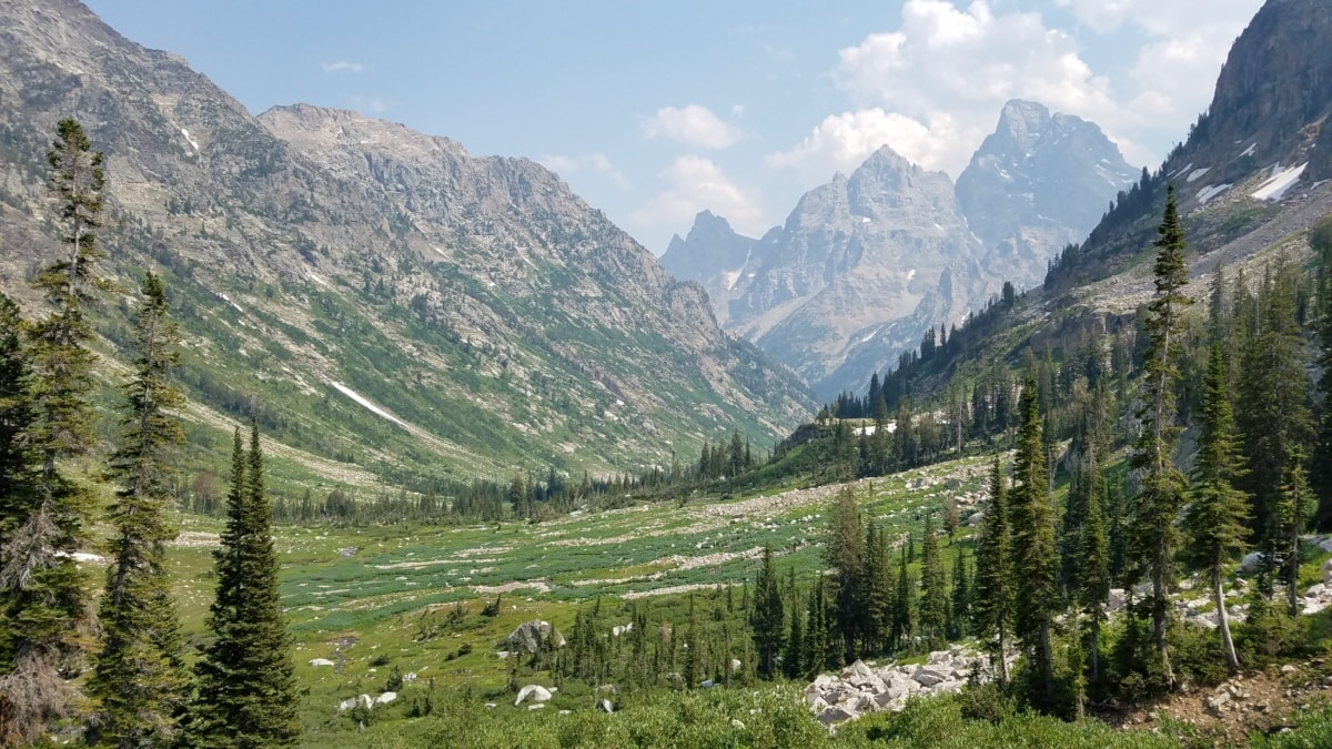 imagem_2026-03-20_101026762