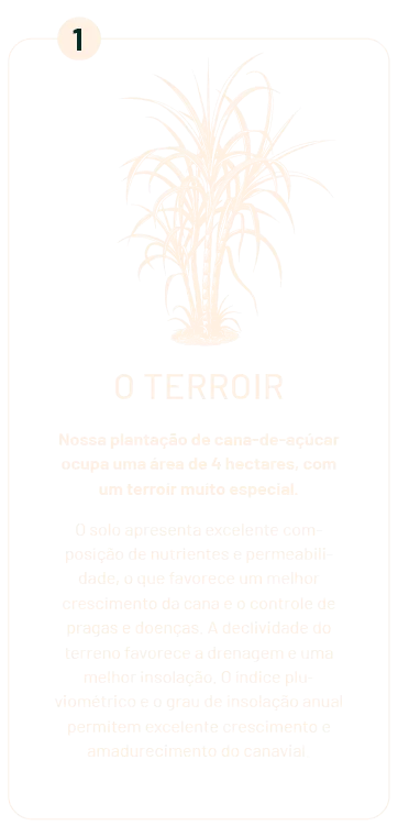 imagem_2026-03-20_103046288